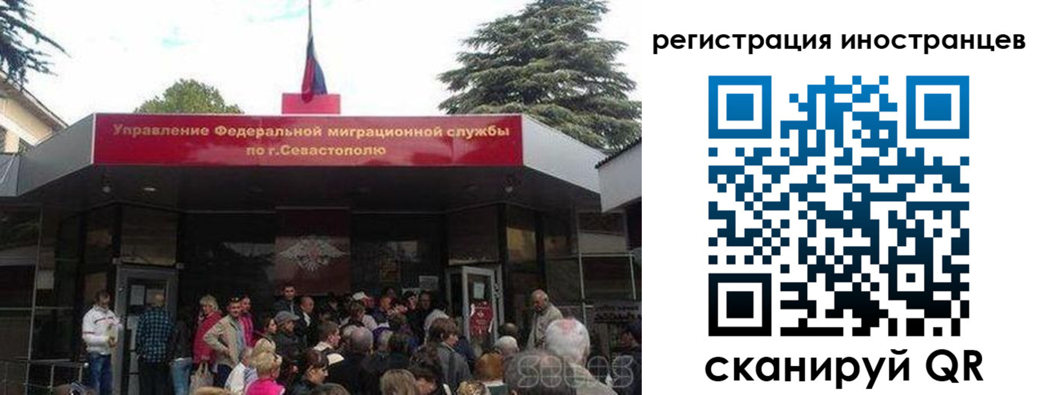 прописка в Волосово